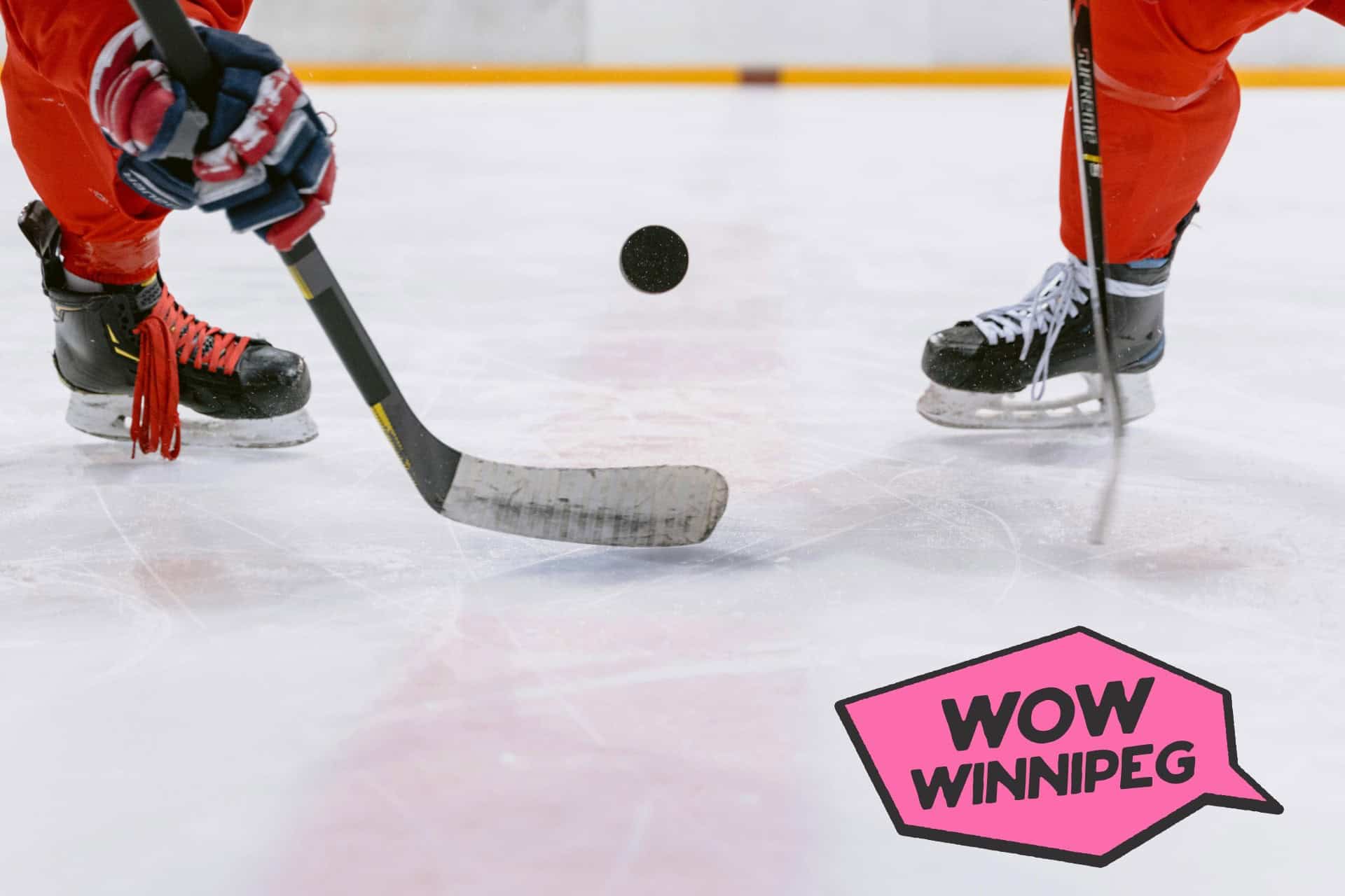 manitoba-moose-play-against-the-chicago