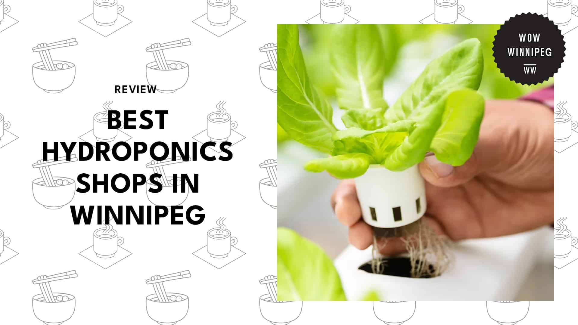 hydroponics-shops-in-winnipeg