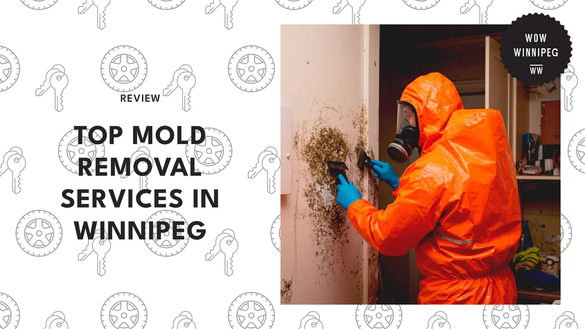 mold-removal-services-in-winnipeg