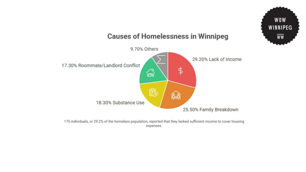 what-causes-homelessness-in-winnipeg