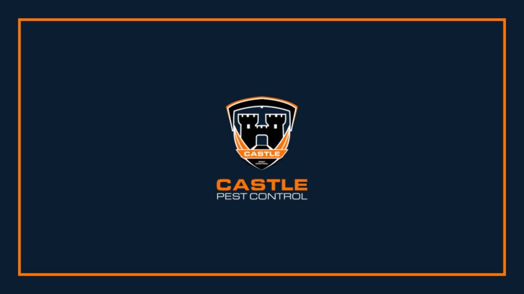 castle-pest-control