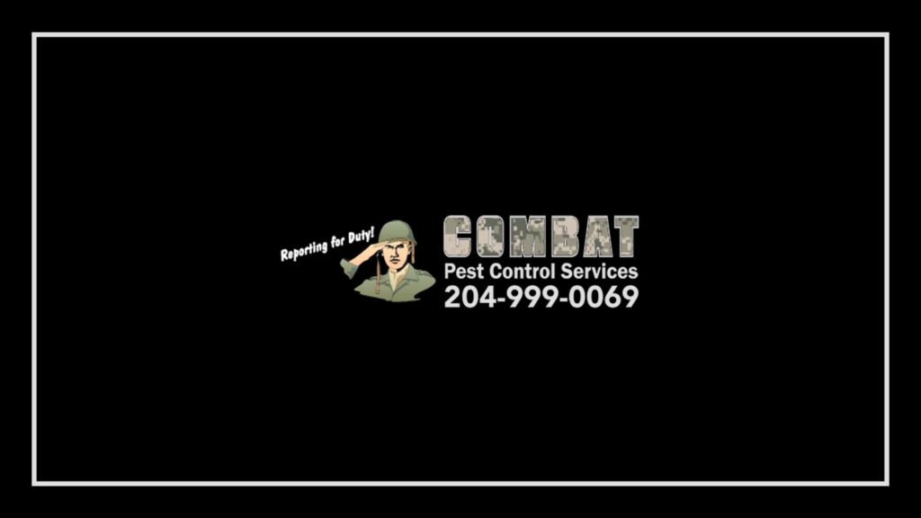 combat-pest-control