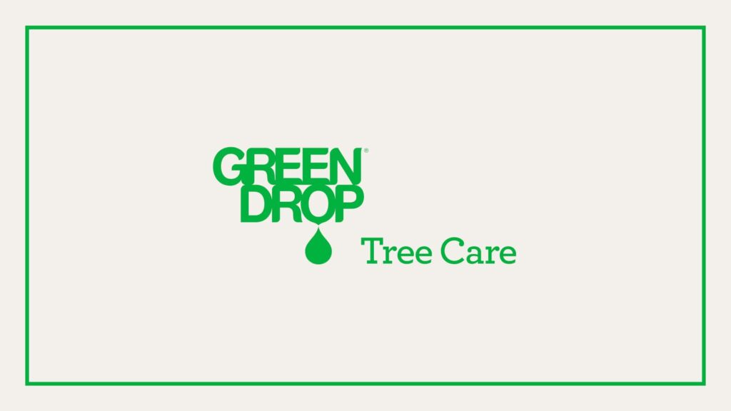 green-drop-tree-care