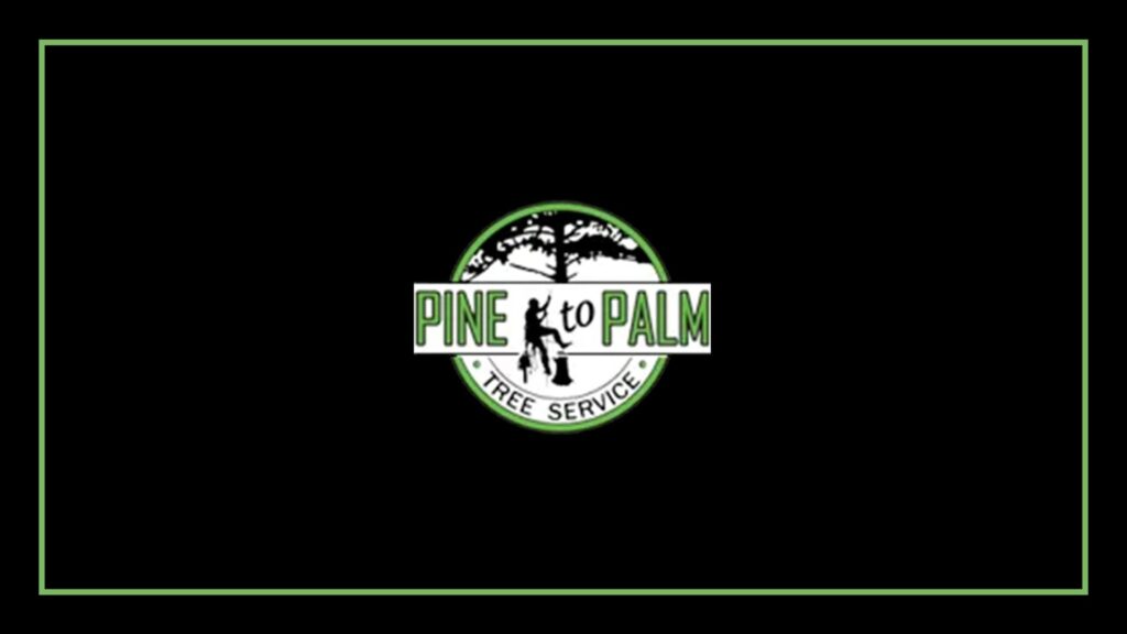 pine-to-palm-tree-service