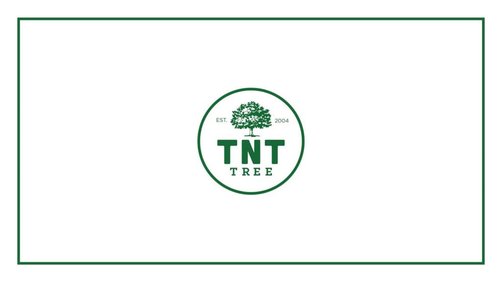 tnt-tree-service-ltd