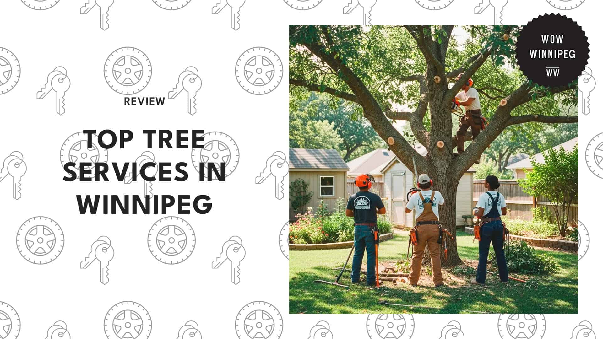 tree-services-in-winnipeg