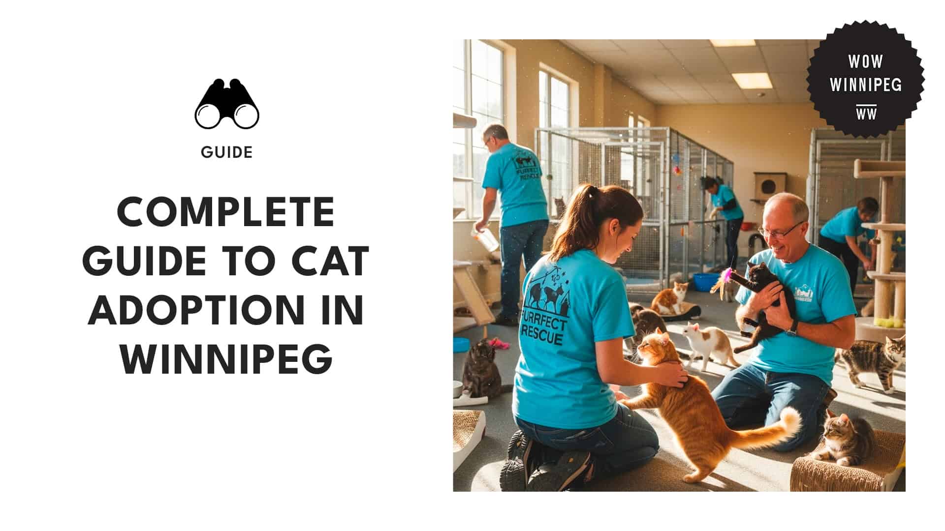cat-adoption-in-winnipeg