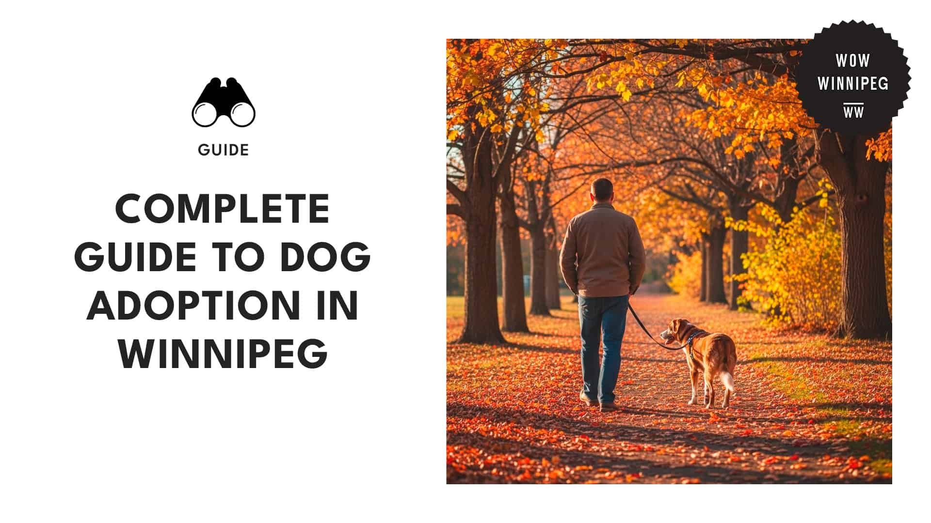 dog-adoption-in-winnipeg