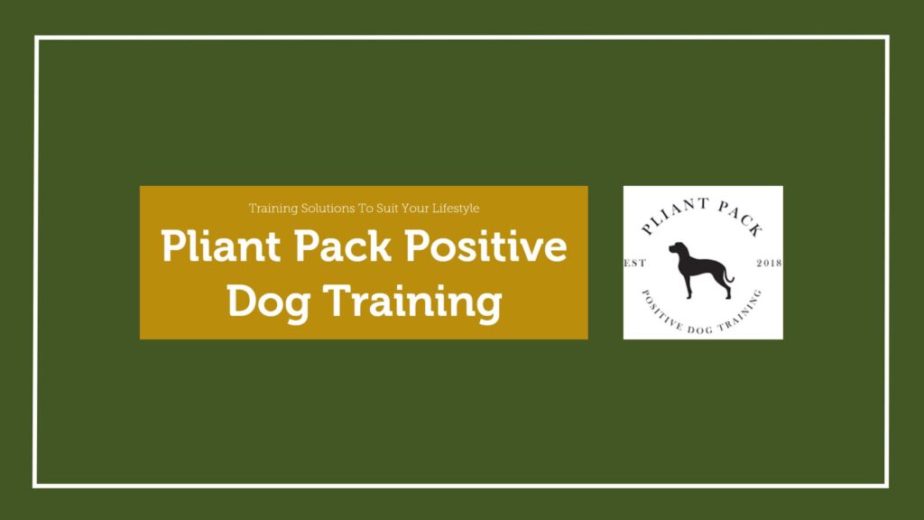Pliant Pack Positive Dog Training
