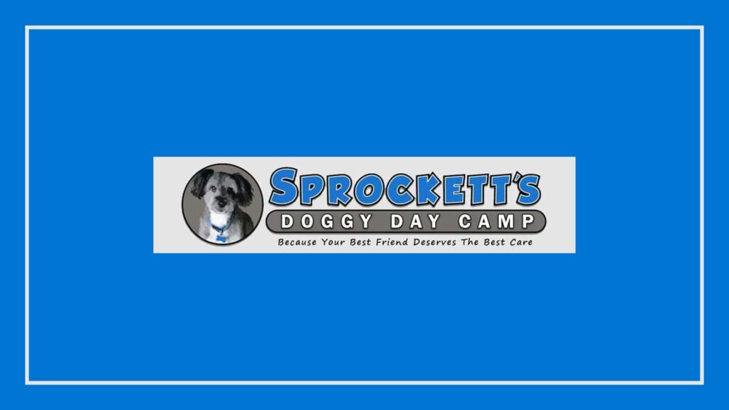 sprockett-s-doggy-day-camp