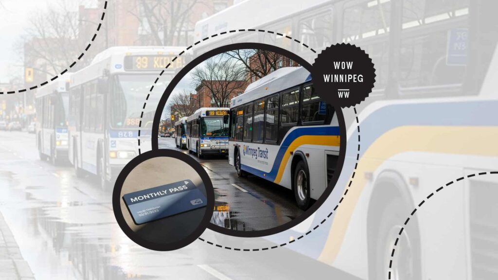 winnipeg-buses