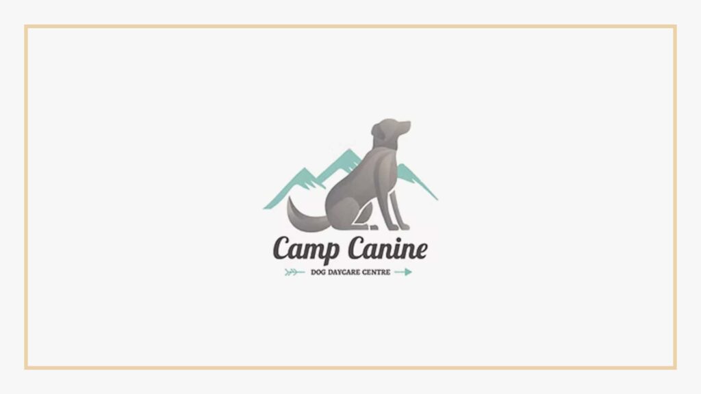 camp-canine-dog-daycare-centre