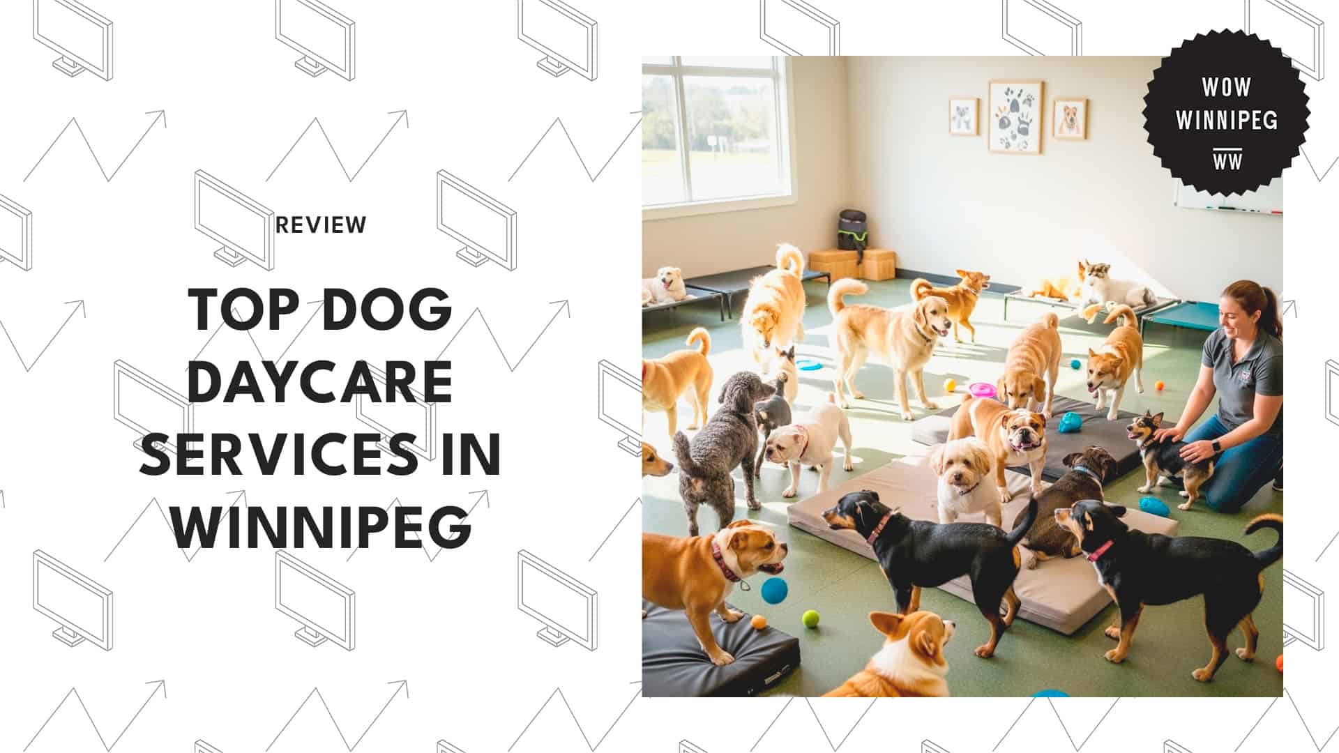 dog-daycares-in-winnipeg