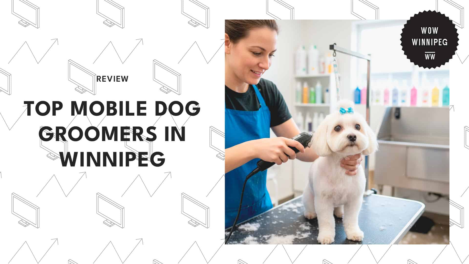 mobile-dog-grooming-services-in-winnipeg