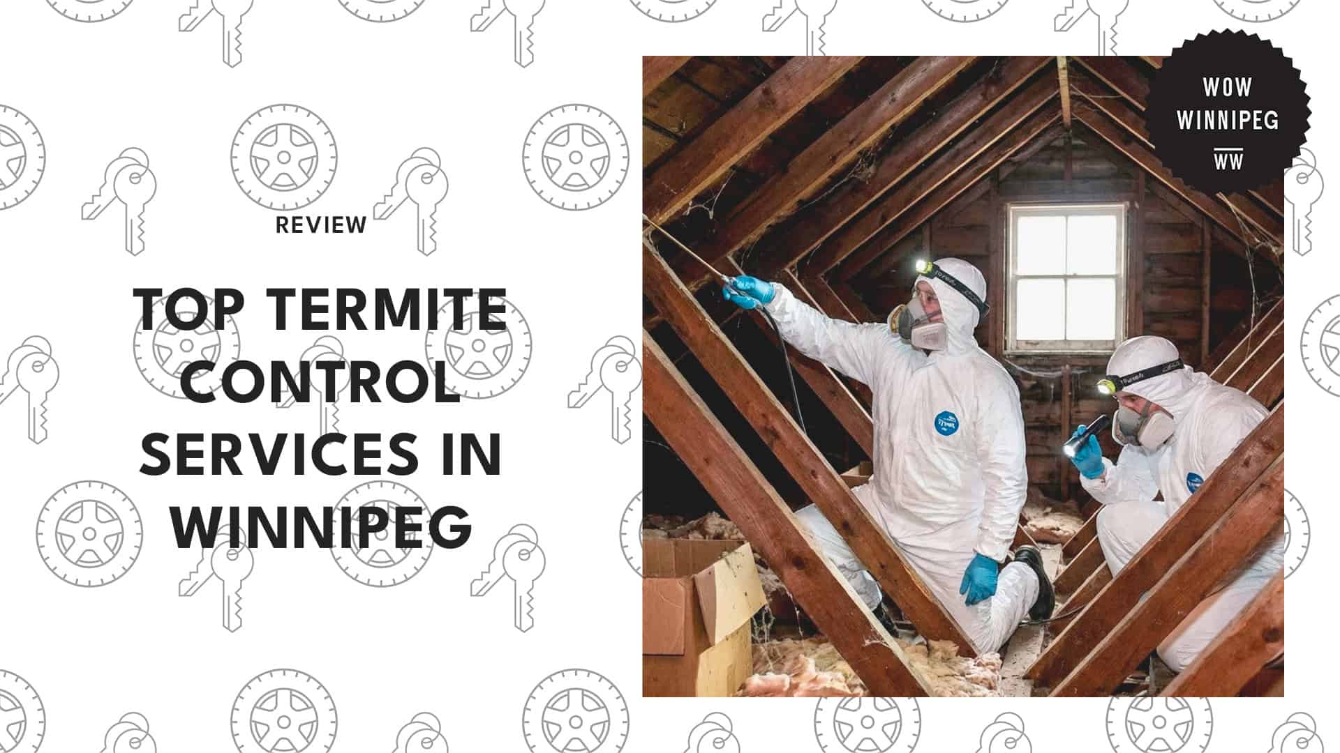 top-termite-control-winnipeg-banner