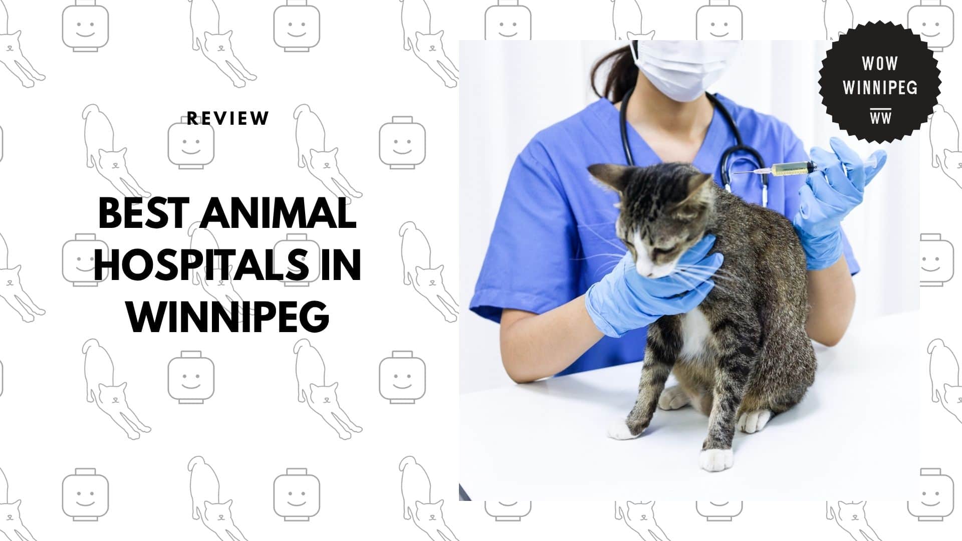 animal-hospitals-winnipeg