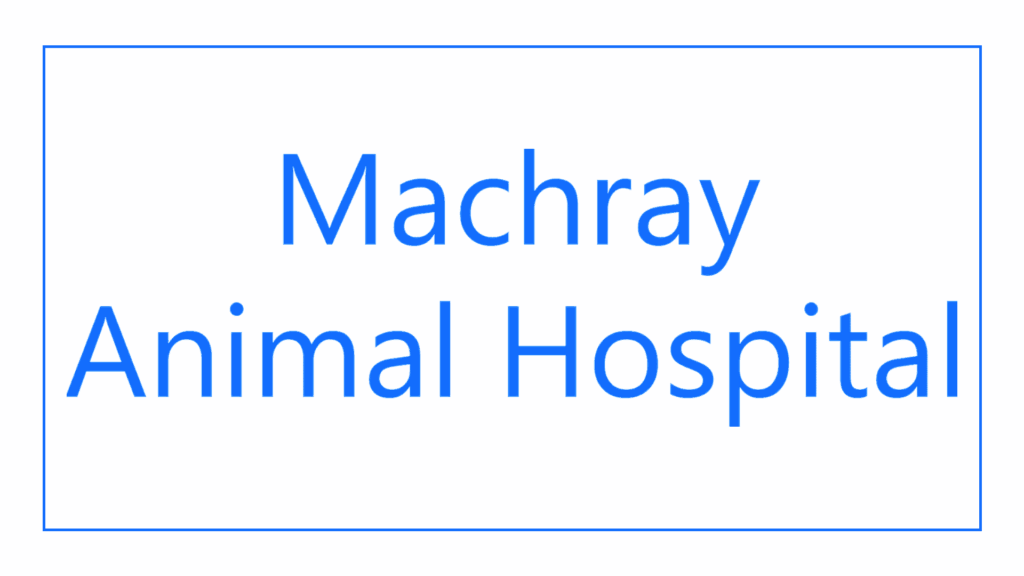 machray-animal-hospital