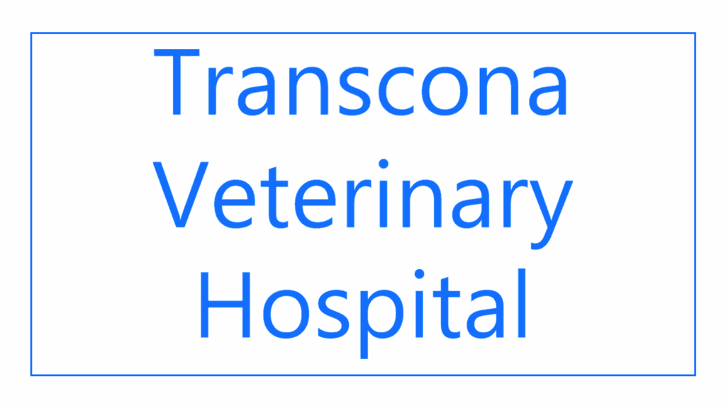 transcona-veterinary-hospital