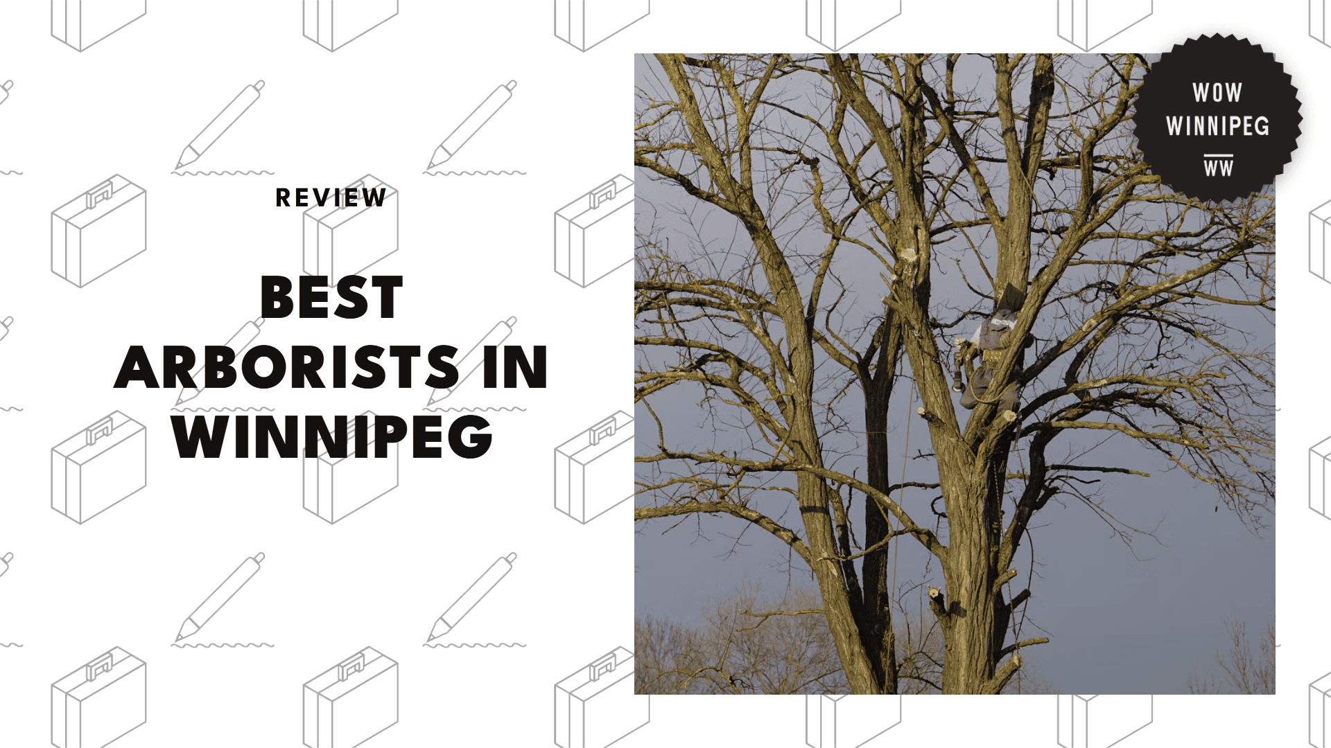 best-arborists-winnipeg