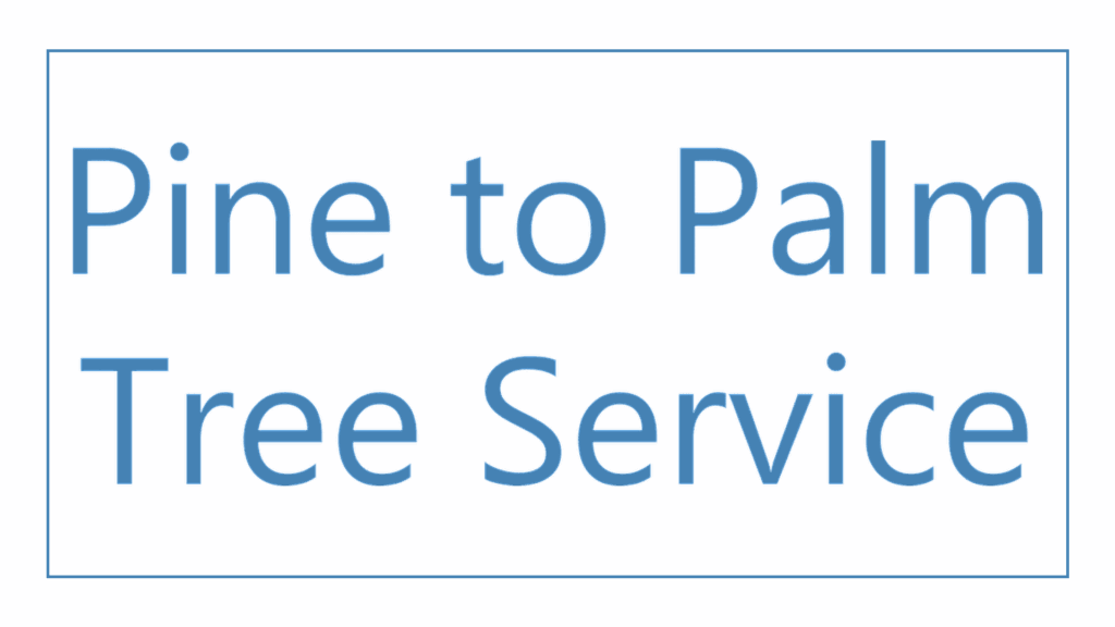 pine-to-palm-tree-service