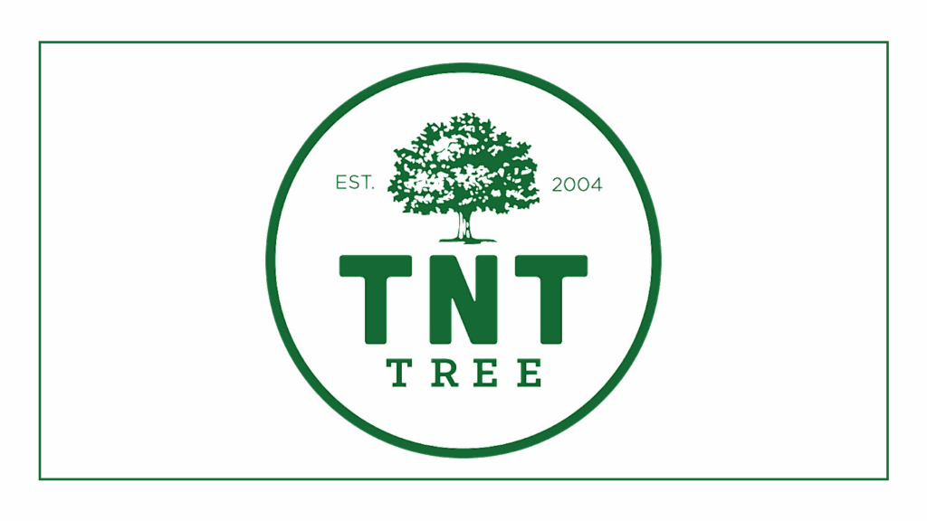 tnt-tree-service-ltd
